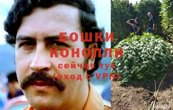 стаф Нефтекумск