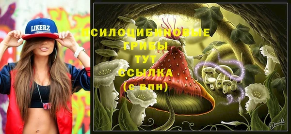 стаф Нефтекумск